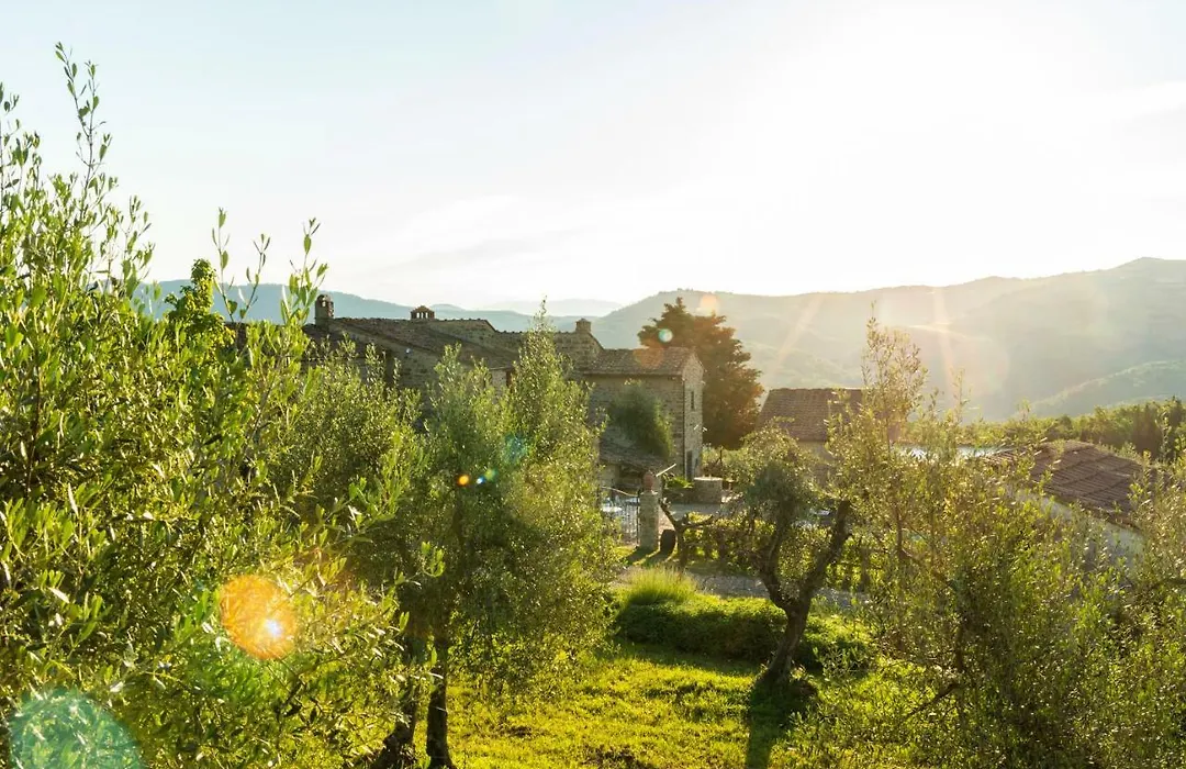 La Rimbecca Greve In Chianti-1